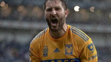 Tigres