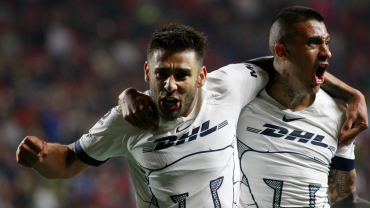 Pumas