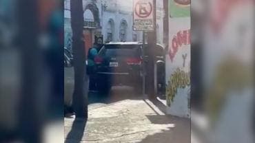 Blooming de Santa Cruz