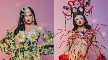 Fotografías tomadas de X