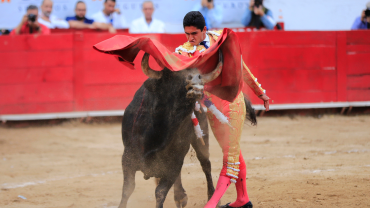 Toro