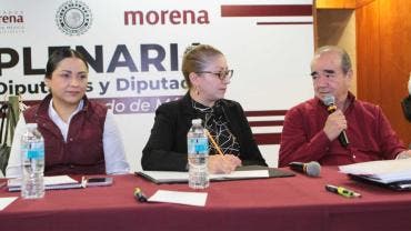 Morena Estado de México