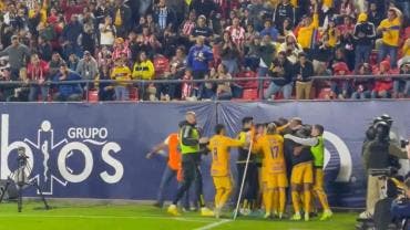 Tigres UANL Liga MX Atletico San Luis