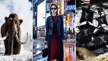 Imagenes de Sora creditos ABC Noticias