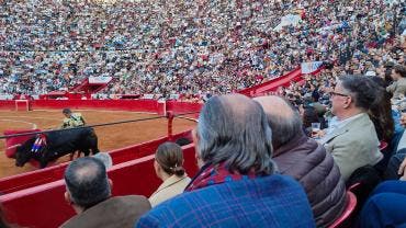 Corridas de toros en la Plaza México