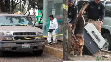 Peritos levantaron los restos humanos y personal de rescate animal aseguro al can de raza pastor Alemán