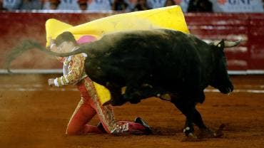 plaza_de_toros.jpg