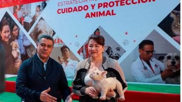 Tlalnepantla cuidado animal