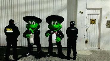 Señor Frogs