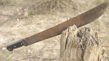 Machete en tronco