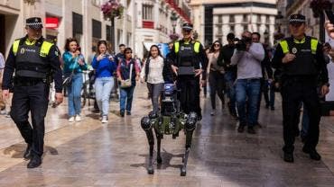 perro robot Malaga