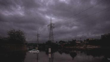 Advierte la OMS que el cambio climático influye en la propagación de la gripe aviar