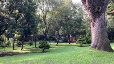 Parque Ecologico Loreto Pena Pobre