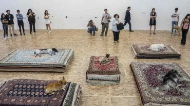 Casts Museo Tamayo Marti Batres