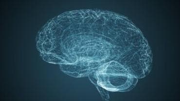 Identifican mutación genética causante de una discapacidad intelectual 