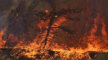 Por tercer día consecutivo, Grecia lucha contra decenas de incendios en todo el país