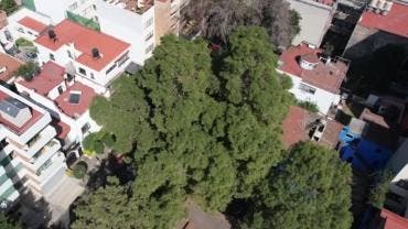 Eugenio fresno BJ patrimonio cultural