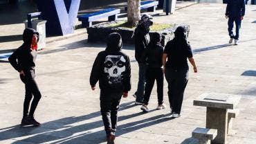 porros UNAM IPN Colbach