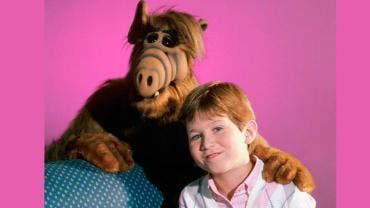 ALF