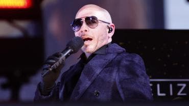 Pitbull 