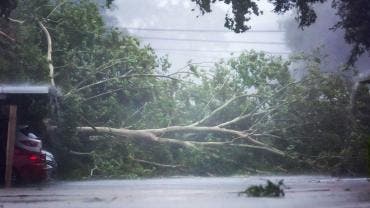 Paso de Beryl por Texas