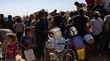 Los piojos se propagan entre los desplazados de Gaza por falta de Shampoo 