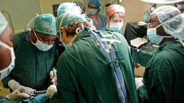 Lisa Pisano rinon cerdo EU muere