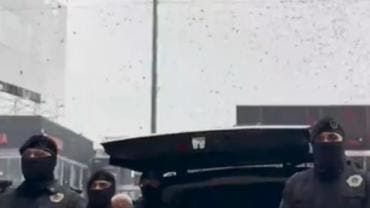 Milton Morales petalos rosas