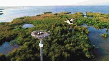 Unesco declaró 26 nuevos sitios como Patrimonio de la Humanidad 