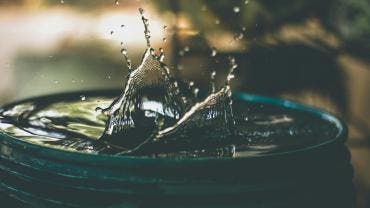 Agua