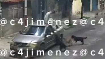 Perros