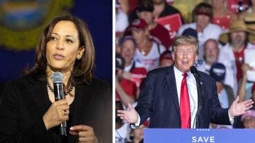 Harris con ventaja sobre Trump en Míchigan, Wisconsin y Pensilvania encuesta NYT