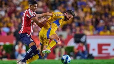 jornada 5