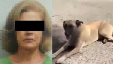 Mujer que arrastró con su camioneta a perrito en Tlaquepaque se va a la cárcel