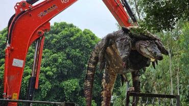 Cocodrilos sacrificados en Tailandia
