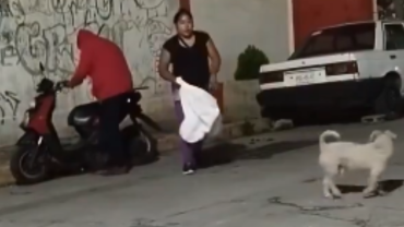 Perrito Suadero