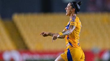 Tigres femenil