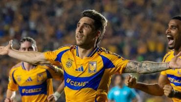 Tigres