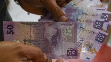 dinero PVEM abuelos nietos cuidar CDMX