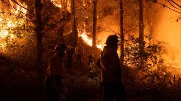 Incendios forestales
