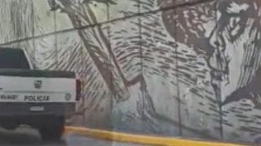 limpiaparabrisas GAM suicidio Circuito Interior