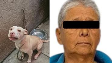 Rescatan a 23 perros y un gato víctimas de maltrato en Edomex
