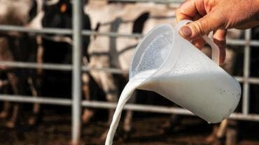California suspende distribución de leche cruda de su mayor productor por gripe aviar