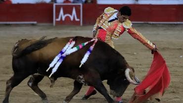 Tribunal elimina prohibición de corridas de toros en Guadalajara