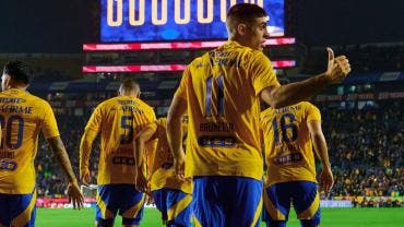 Tigres