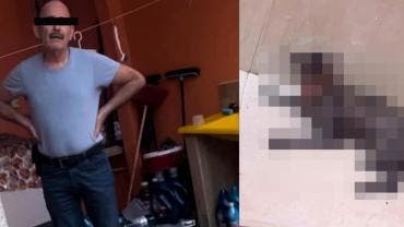 Imágenes sensibles | Hombre mata a golpes a gatita de su vecino en Tabasco