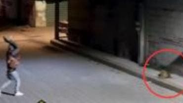 Liberan a sujeto que lanzó una piedra al perrito ‘Huesitos’ en Puebla; solo pagó multa