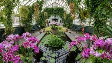 Exposición de orquídeas en NY rinde homenaje al arquitecto mexicano Luis Barragán