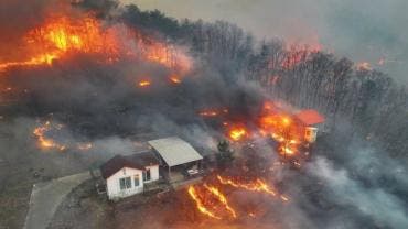 12 muertos incendios forestales Corea del Sur