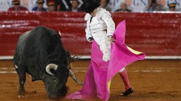 toros
